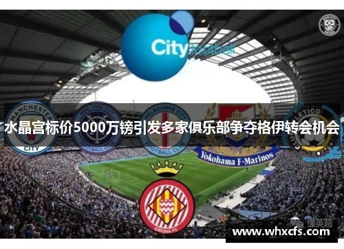水晶宫标价5000万镑引发多家俱乐部争夺格伊转会机会